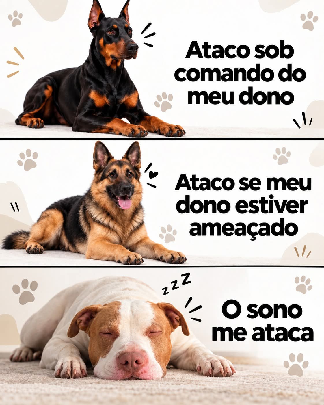 Ir Para